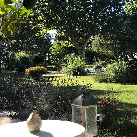 Mas Antonine, Grenouille Apartment