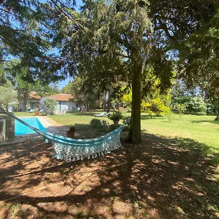 Apartment Mas Antonine, Grenouille