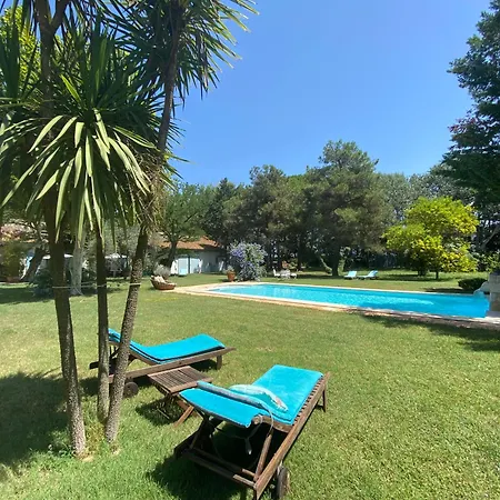 Apartment Mas Antonine, Grenouille Arles
